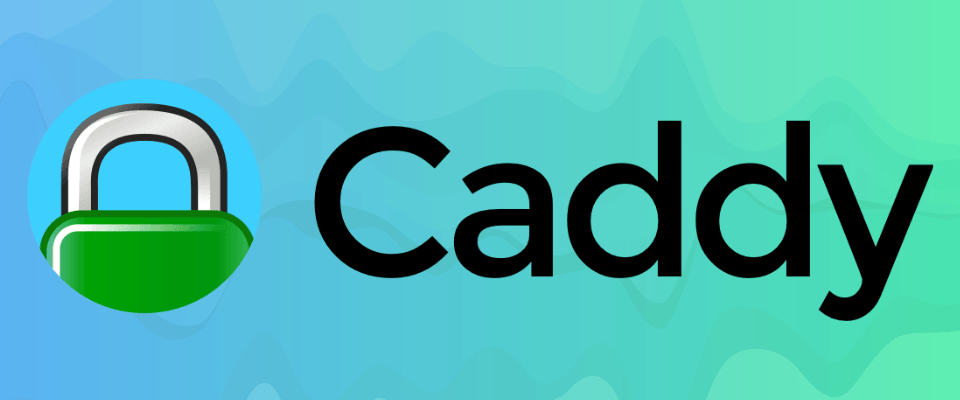 caddy-v2-reverse-proxy-example