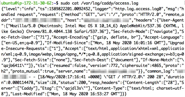 Logging requests with Caddy.
