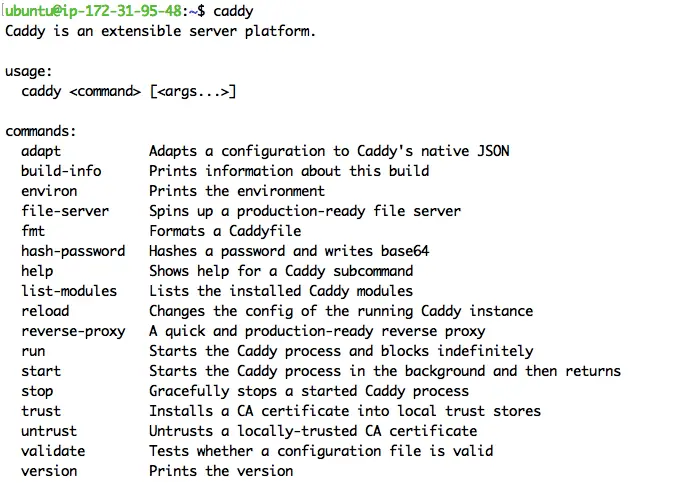 Testing the "caddy" command.