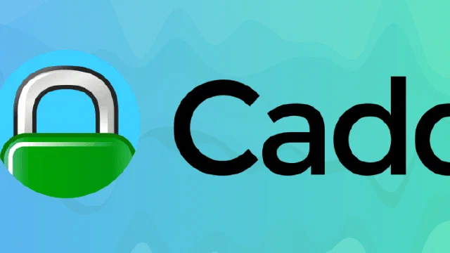 A Guide to Using the Caddy Server on Linux
