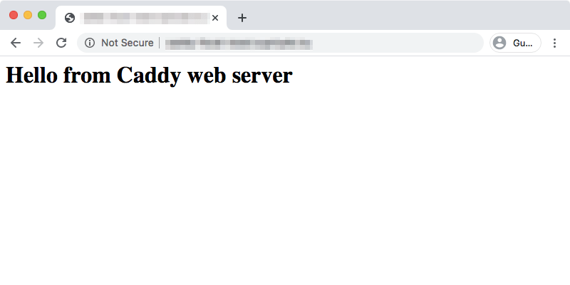 Hosting a basic web page using Caddy