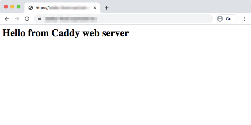 Hosting a HTTPS website with Caddy