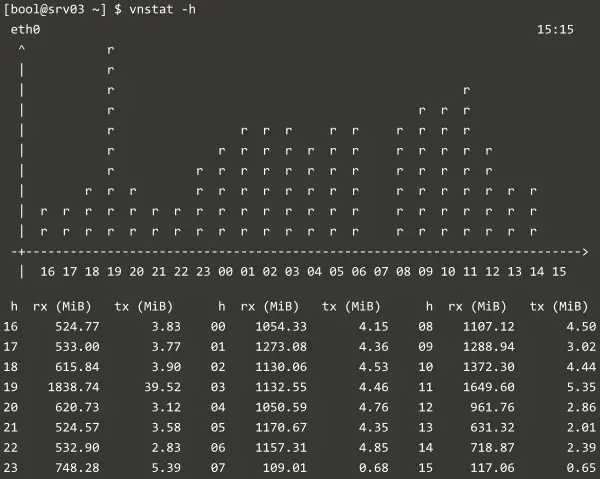 vnStat hourly chart