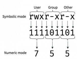 An Introduction to Linux File Permissions - Boolean World