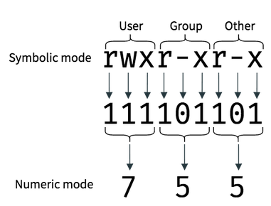 An Introduction To Linux File Permissions Boolean World