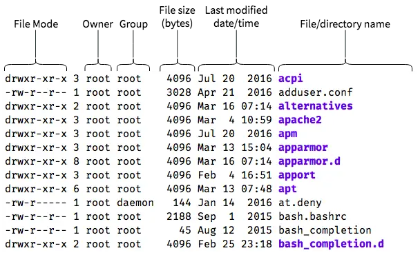 Chmod Permissions Chart